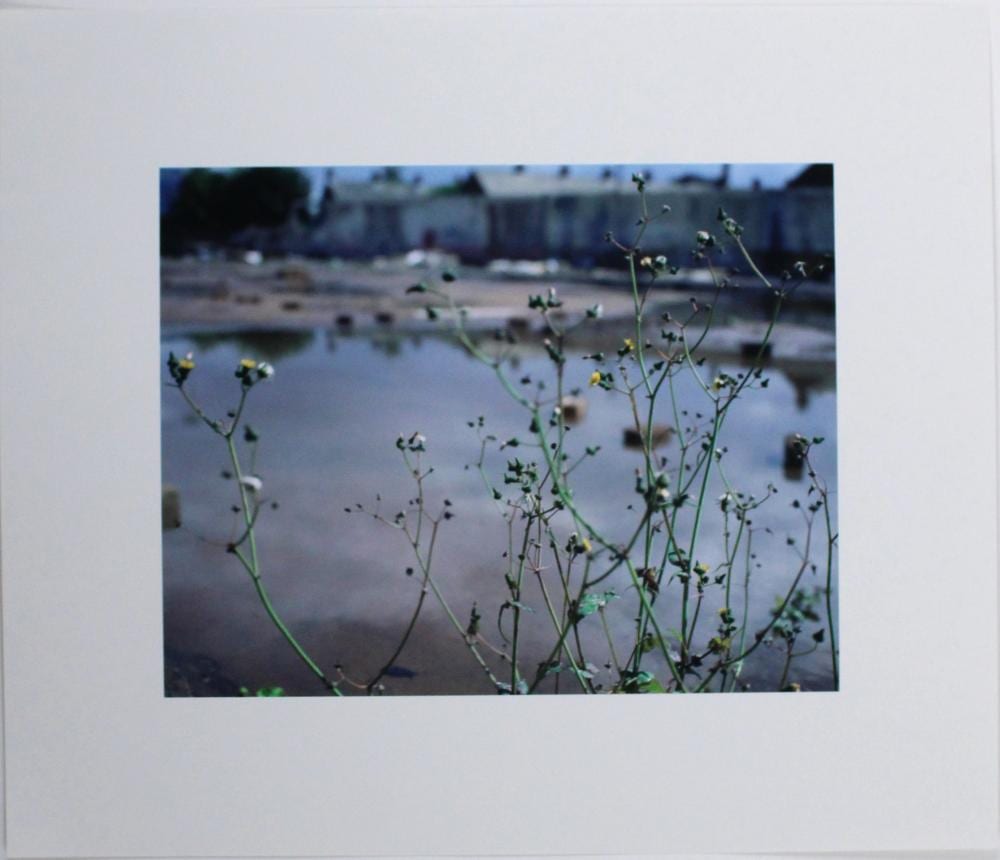 Willie Doherty comparable auction result: willie doherty 1959 wasteground c print on paper