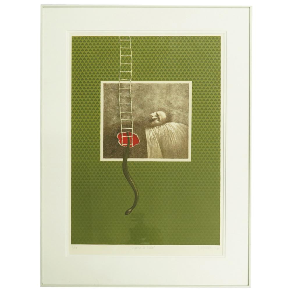 Alfredo Castaneda comparable auction result: alfredo castaneda mexican b 1938 jugara de vida lithograph