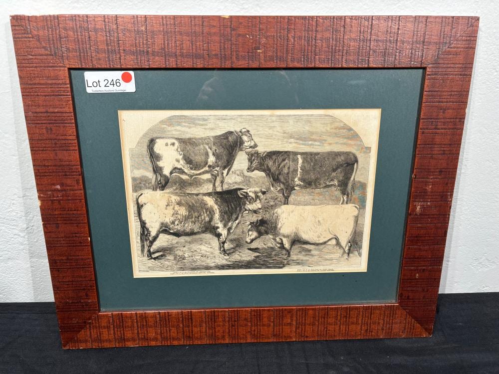 Harrison William Weir comparable auction result: etching by harrison weir
