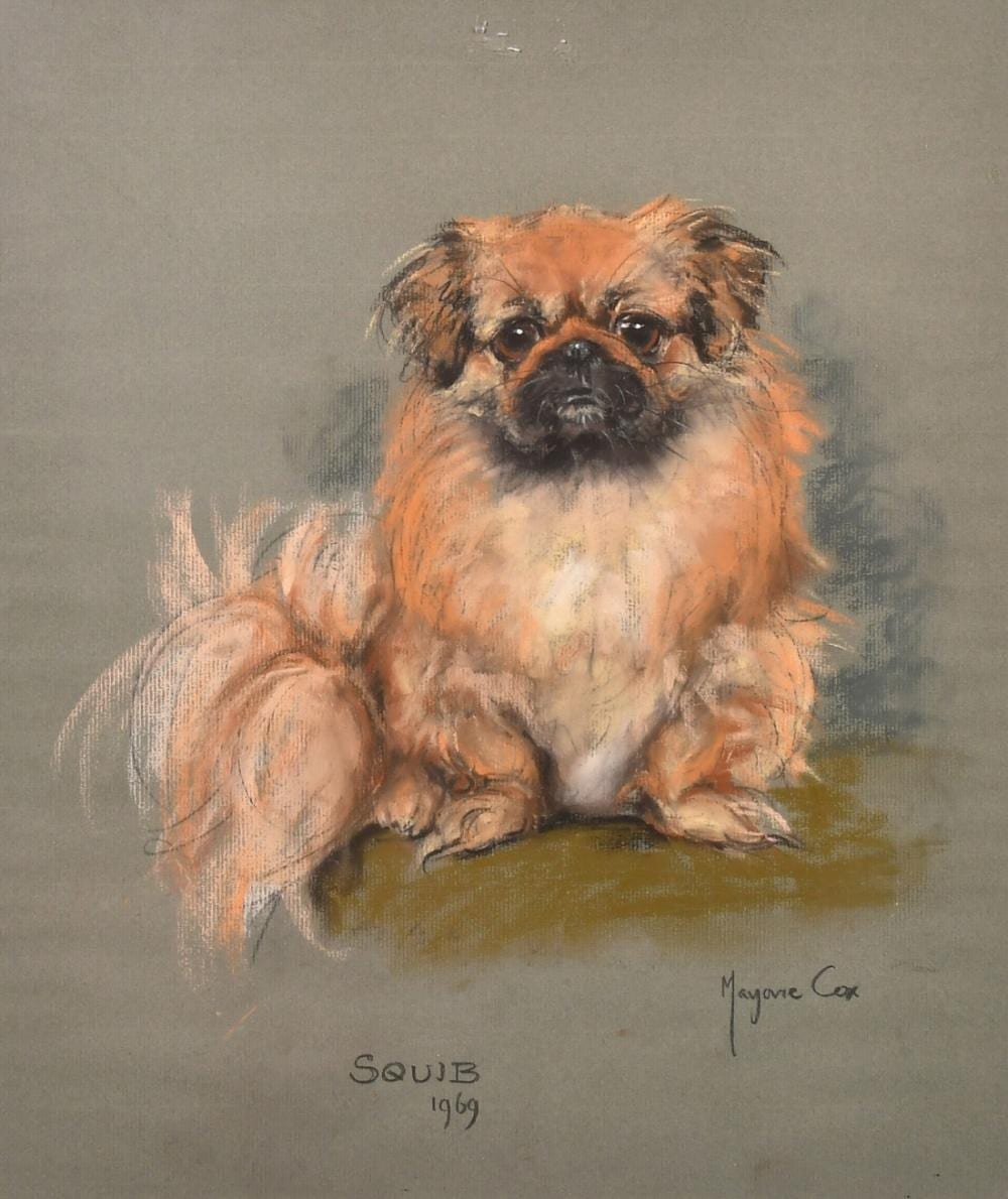 Marjorie Cox comparable auction result: marjorie cox 1915 2003 squib 1969 a pastel study of a pekingese signed 17 75 x 14 5 45 x 36cm