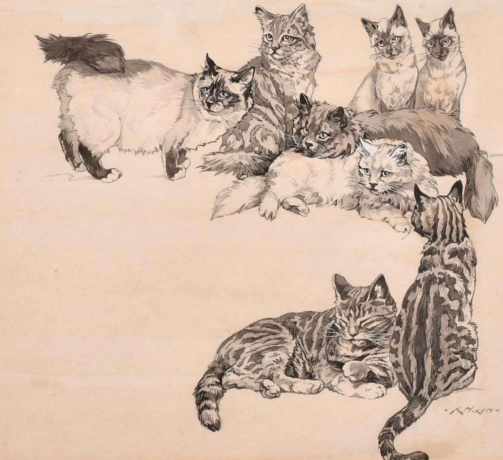 Kay Nixon comparable auction result: kay nixon 1895 1988 a study of eight cats in various positions ink and wash heightened in white signed 1