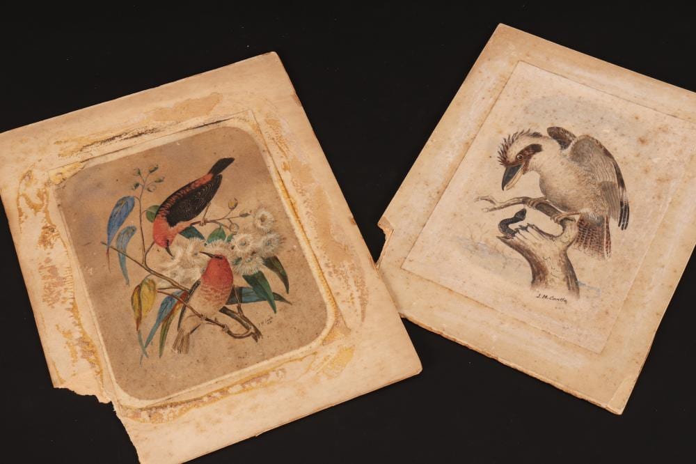 John Mitchell Cantle comparable auction result: john mitchell cantle australia 1849 1919