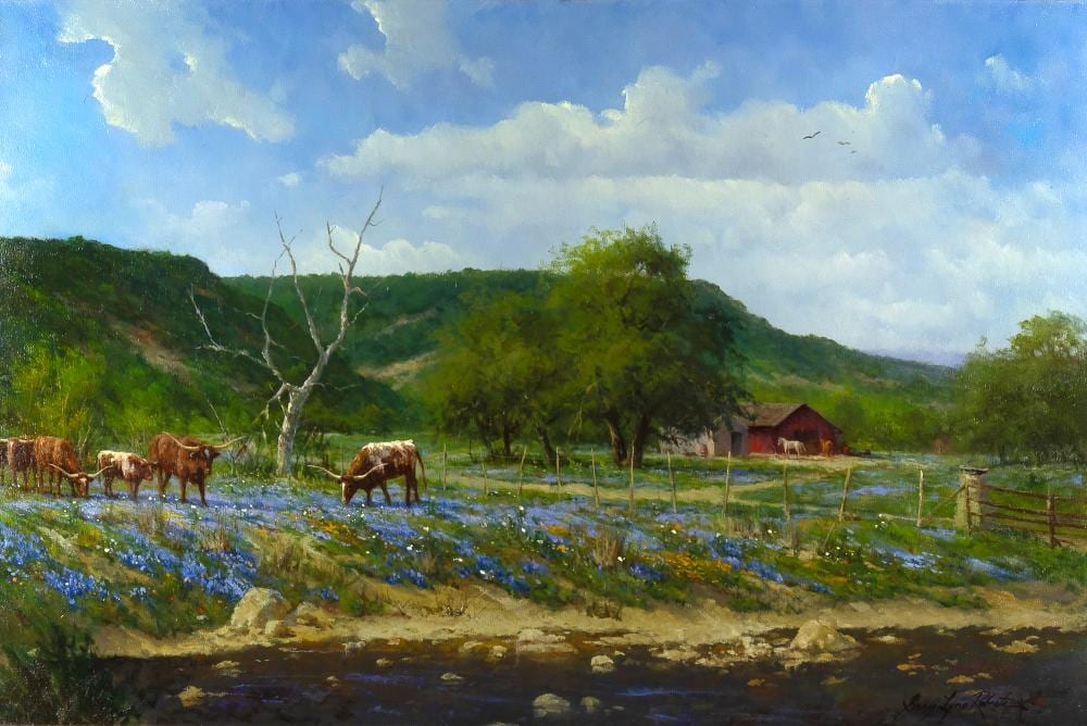 Gary Lynn Roberts comparable auction result: gary lynn roberts 1953 ranch in llano county tx