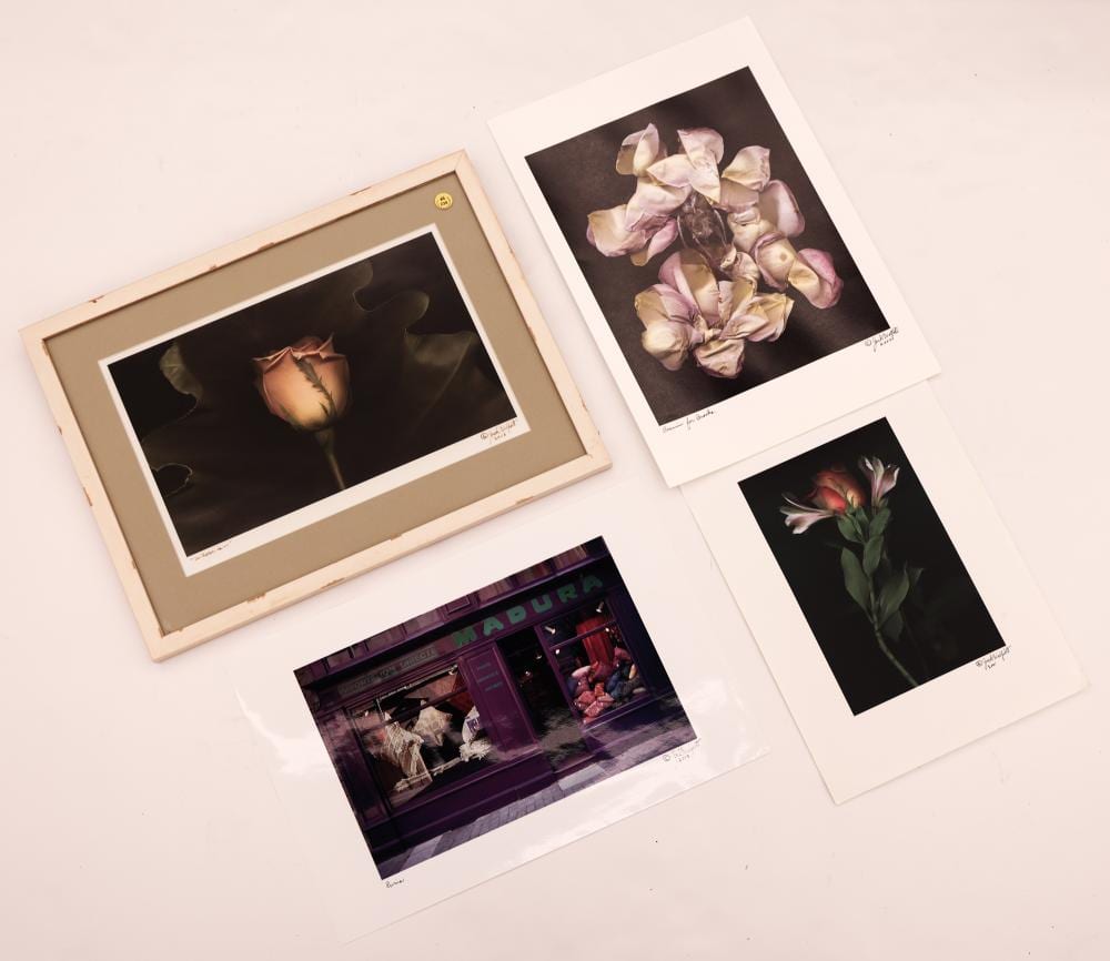 Jack Welpott comparable auction result: 4pc jack welpott flower and paris c prints
