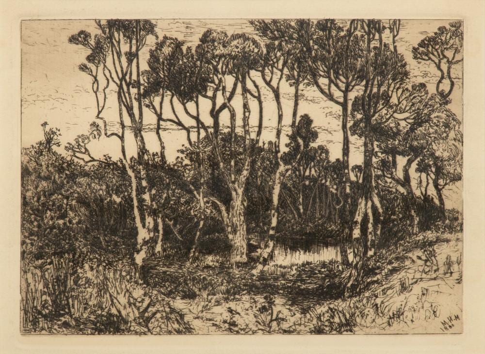 Mary Nimmo Moran comparable auction result: mary nimmo moran scottish american 1842 1899 etching on paper 1880 1900 solitude h 5 625 w 11 0625