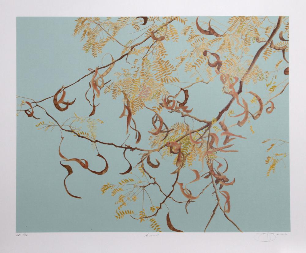 Jon D'Orazio comparable auction result: jon d orazio acacia lithograph