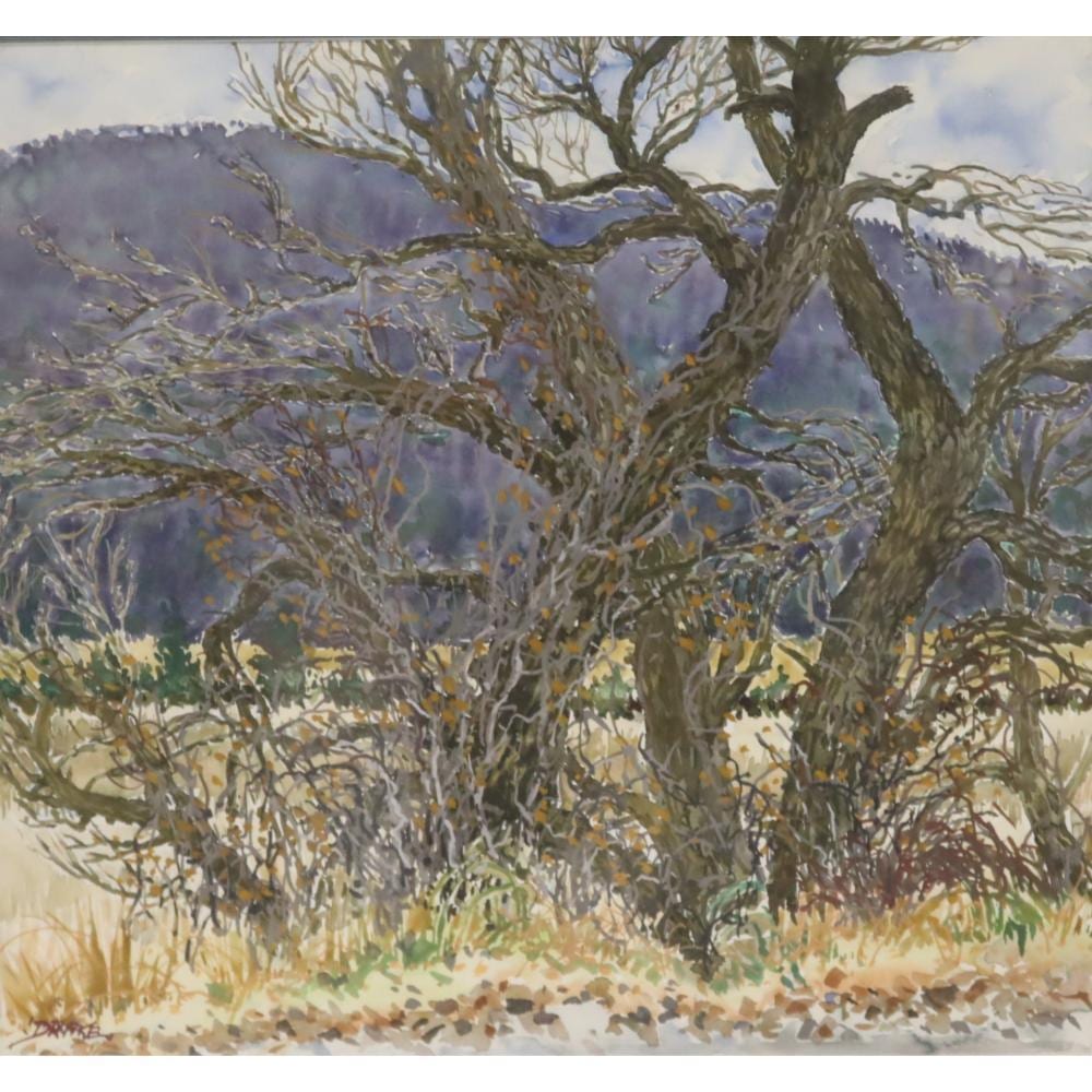 William Alexander Drake comparable auction result: william alexander drake us canada 1891 1979