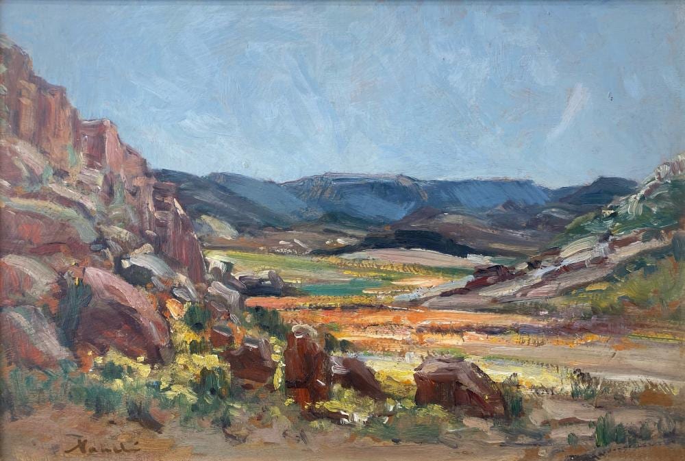 Pieter Hugo Naude comparable auction result: hugo naud namaqualand