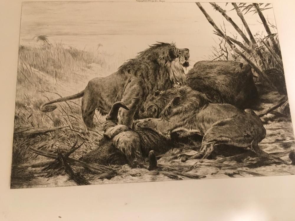Evert van Muyden comparable auction result: evert van muyden 1893 etching