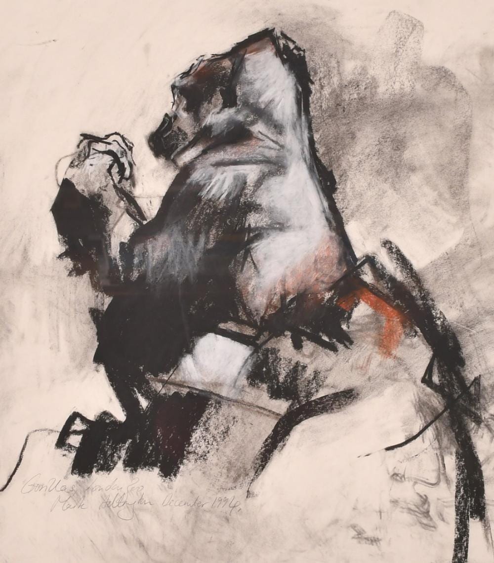 Mark Adlington comparable auction result: mark adlington b 1965 gorillas london zoo mixed media including charcoal crayon and chalk signed in