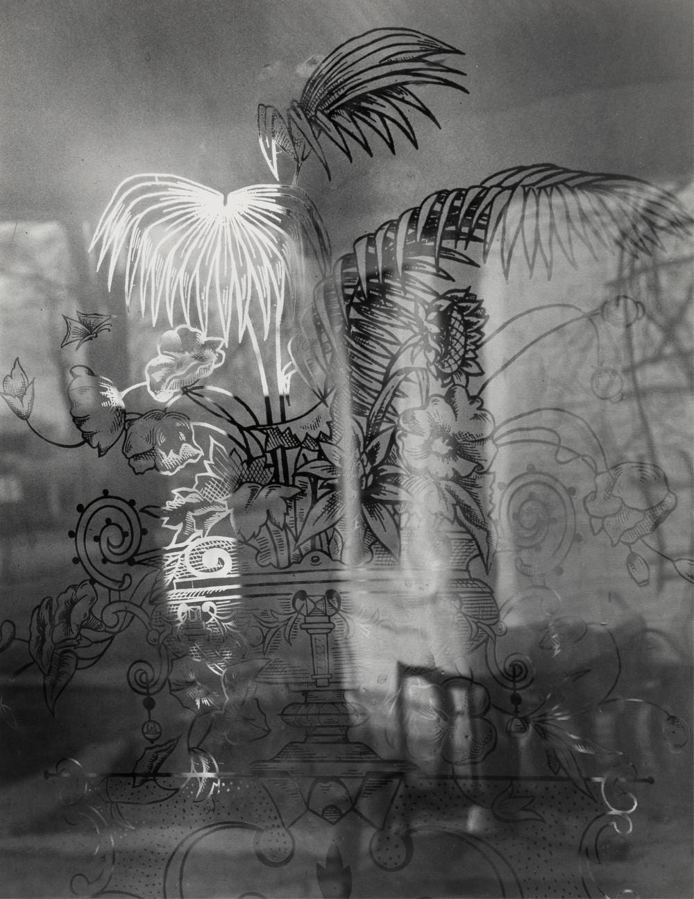 judy dater still life and shadows · Santa Fe Art Auction · 2024-09-18 Judy Dater comparable auction result: judy dater still life and shadows