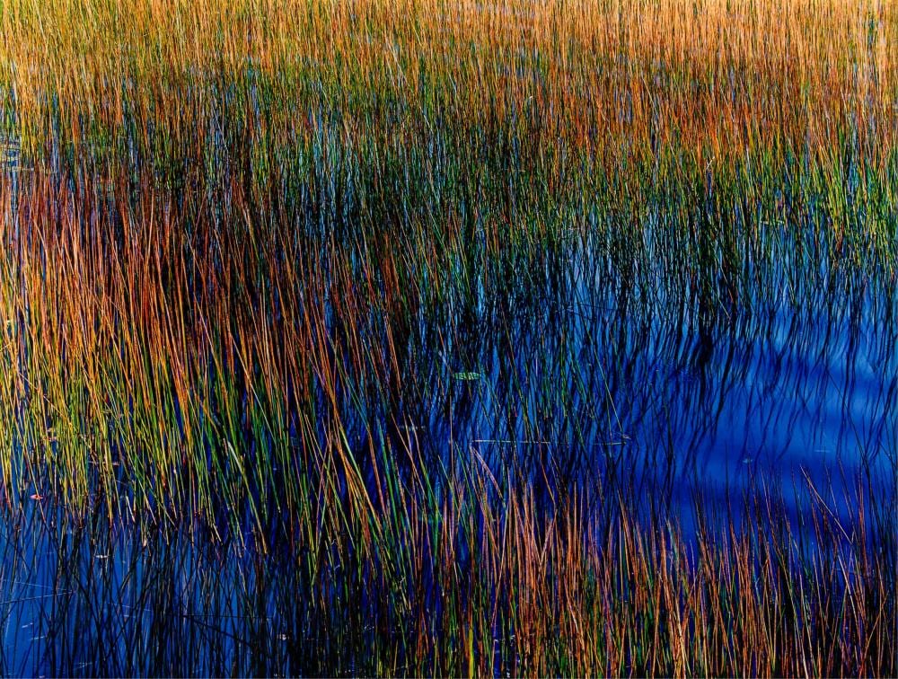 John Wawrzonek comparable auction result: john wawrzonek wind water and grass ca 1991