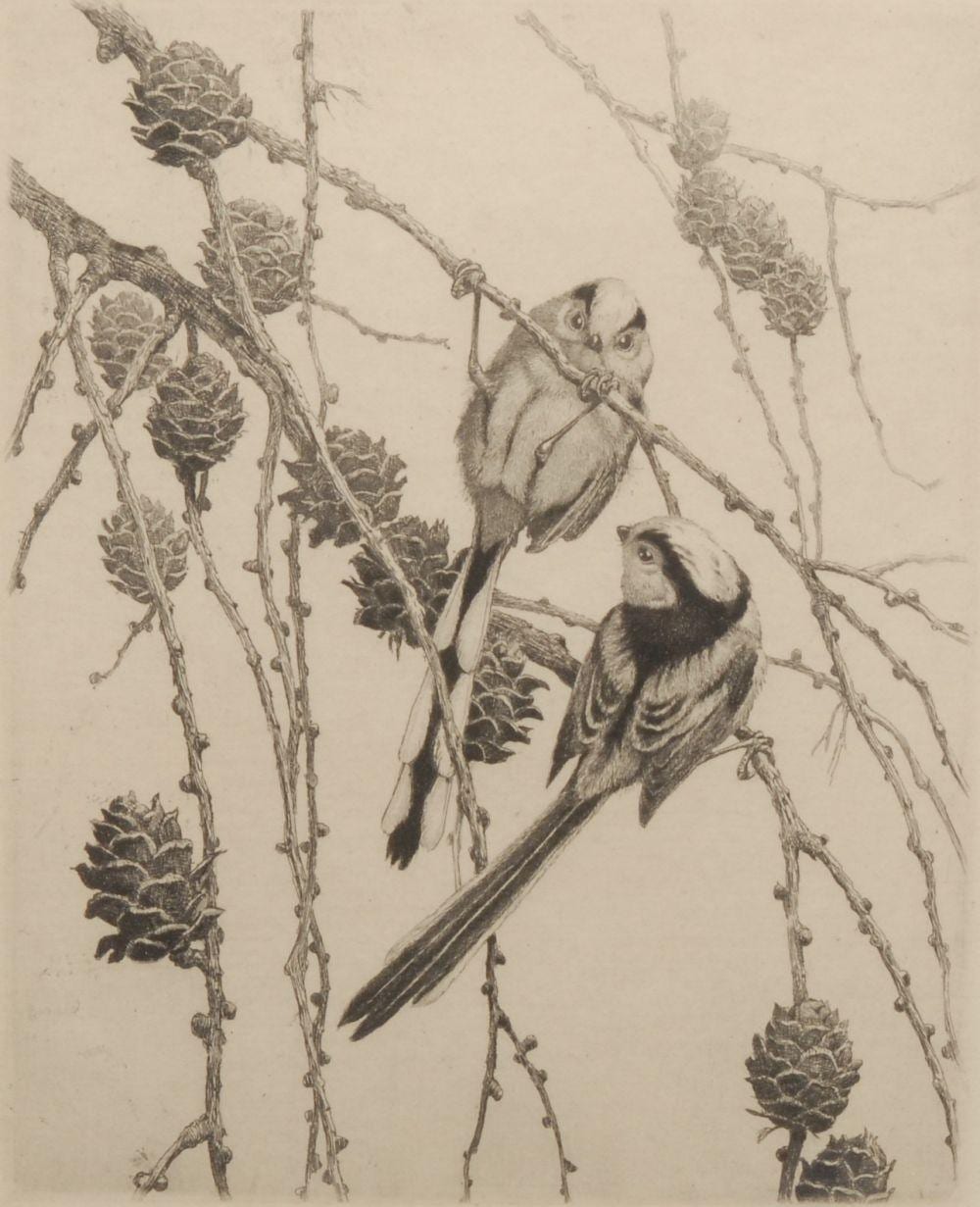 Winifred Austin comparable auction result: winifred austin 1876 1964 long tailed tits signed titled etching 29 5cm x 20cm