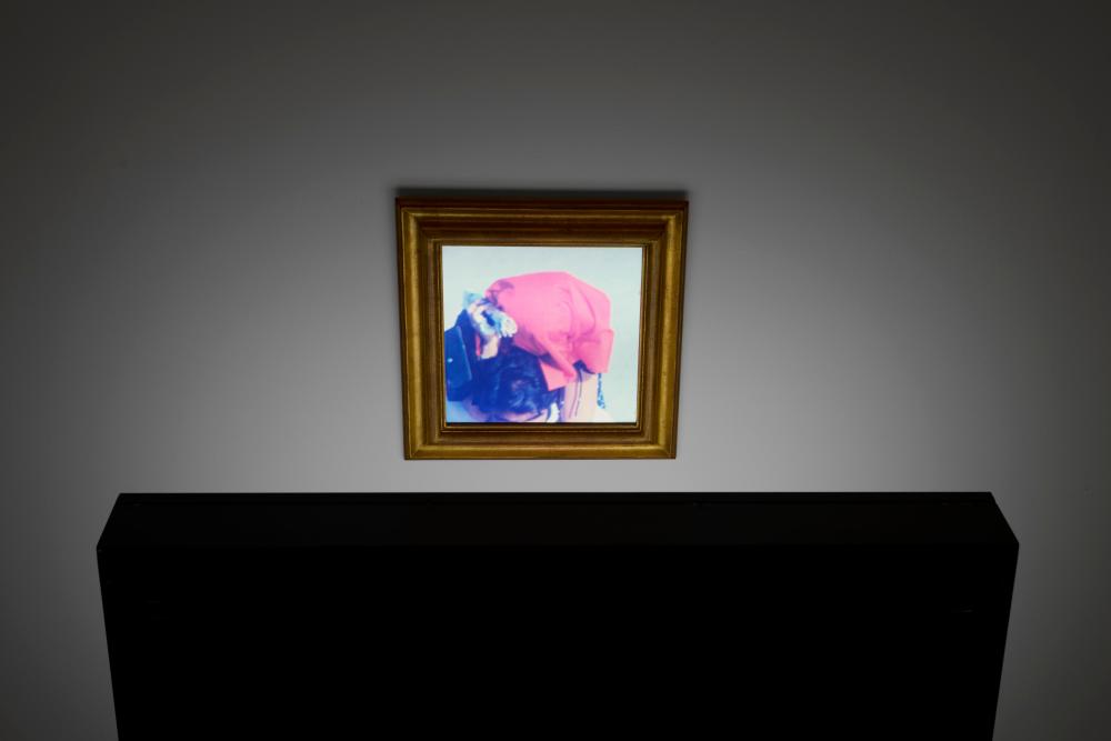 Alfredo Jaar comparable auction result: alfredo jaar b 1956 coyote single sided lightbox with color transpare