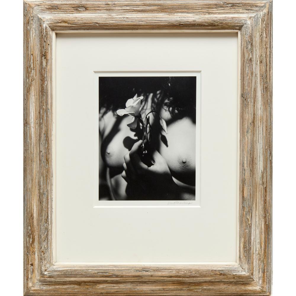 kurt markus photograph pencil signed · Millea Bros Ltd · 2024-10-16 Kurt Markus comparable auction result: kurt markus photograph pencil signed