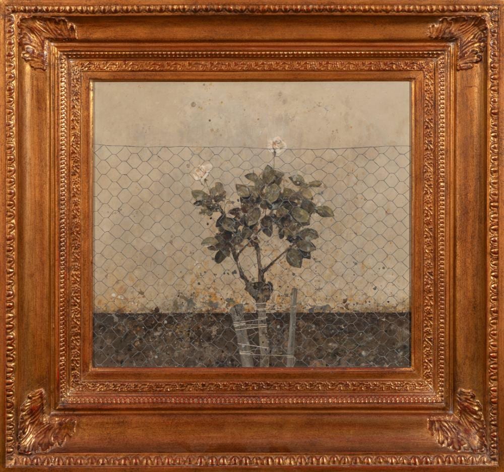 Florencio Galindo comparable auction result: florencio galindo de la vara adanero 1947 vila 2016 white rose tree