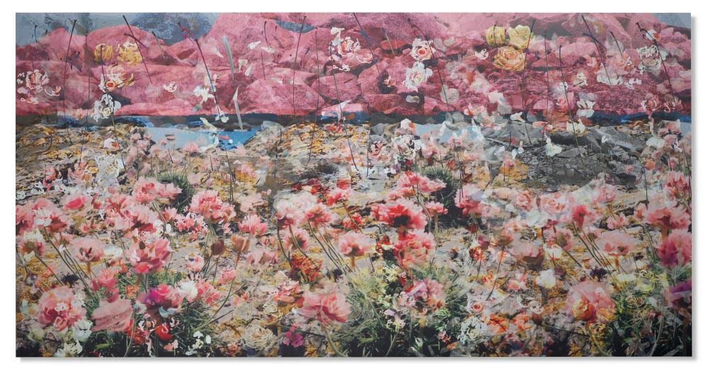 Petra Cortright comparable auction result: petra cortright b 1986 vykort8051kit picture of chili peppers plano di