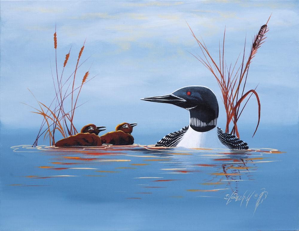 Ivan Lonechild comparable auction result: ivan lonechild out for afternoon swim