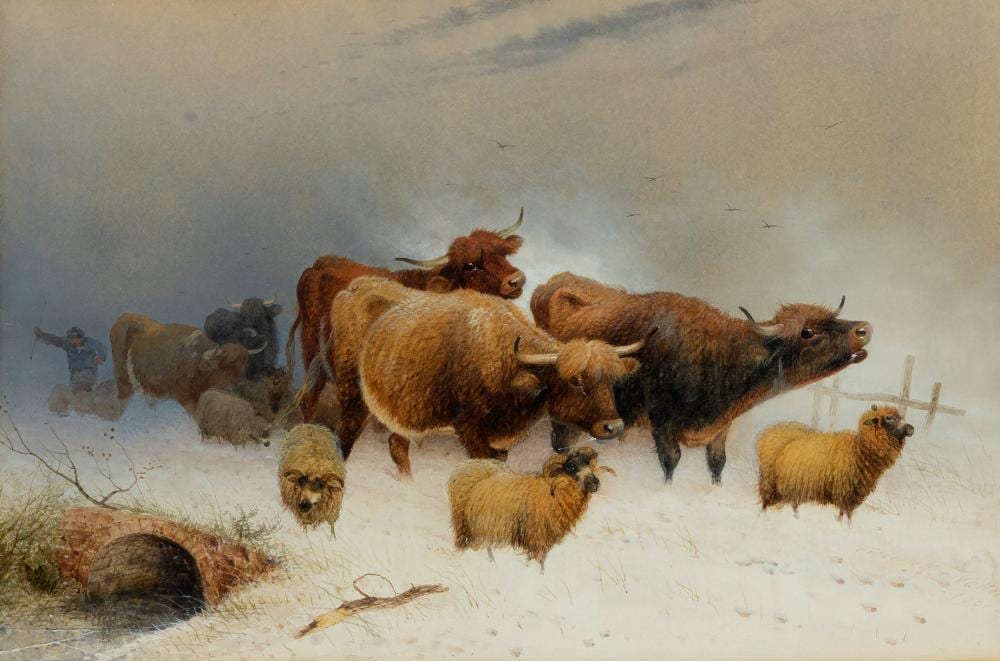 Frederick E. Valter comparable auction result: frederick e valter highland cattle and sheep caught in a snowdrift