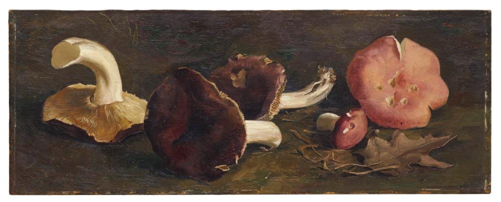 Rudolf Nehmer comparable auction result: rudolf nehmer braune ritterlinge und blutrote r hrlinge beieinander wohl 1950 s