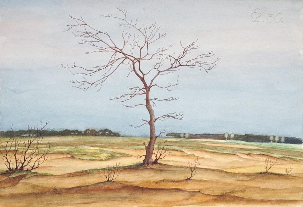 erich lindenau weite landschaft mit kahlem baum 1930 · Schmidt Kunstauktionen Dresden OHG · 2024-11-02 Erich Lindenau comparable auction result: erich lindenau weite landschaft mit kahlem baum 1930