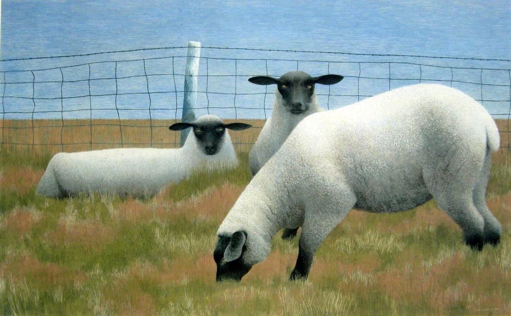 David Alexander Colville comparable auction result: alex colville canadian 1920 2013 three sheep