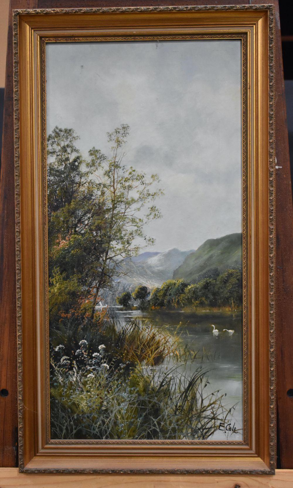 Edwin Cole comparable auction result: edwin cole british 1868 1935 framed oil on canvas of a mountainous landscape 60 x 29 cm