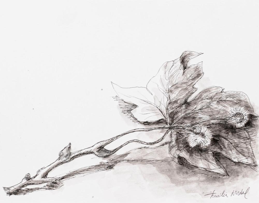 Emília Nadal comparable auction result: em lia nadal 1938 natureza morta tinta sobre papel dim aprox 19 5 x 24 5 cm