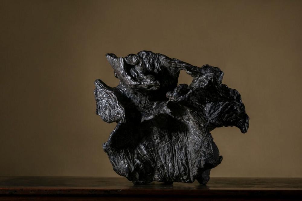 Mi Fu comparable auction result: mythical lingzhi a black lingbi scholar s rock northern song dynasty inscribed by mi fu