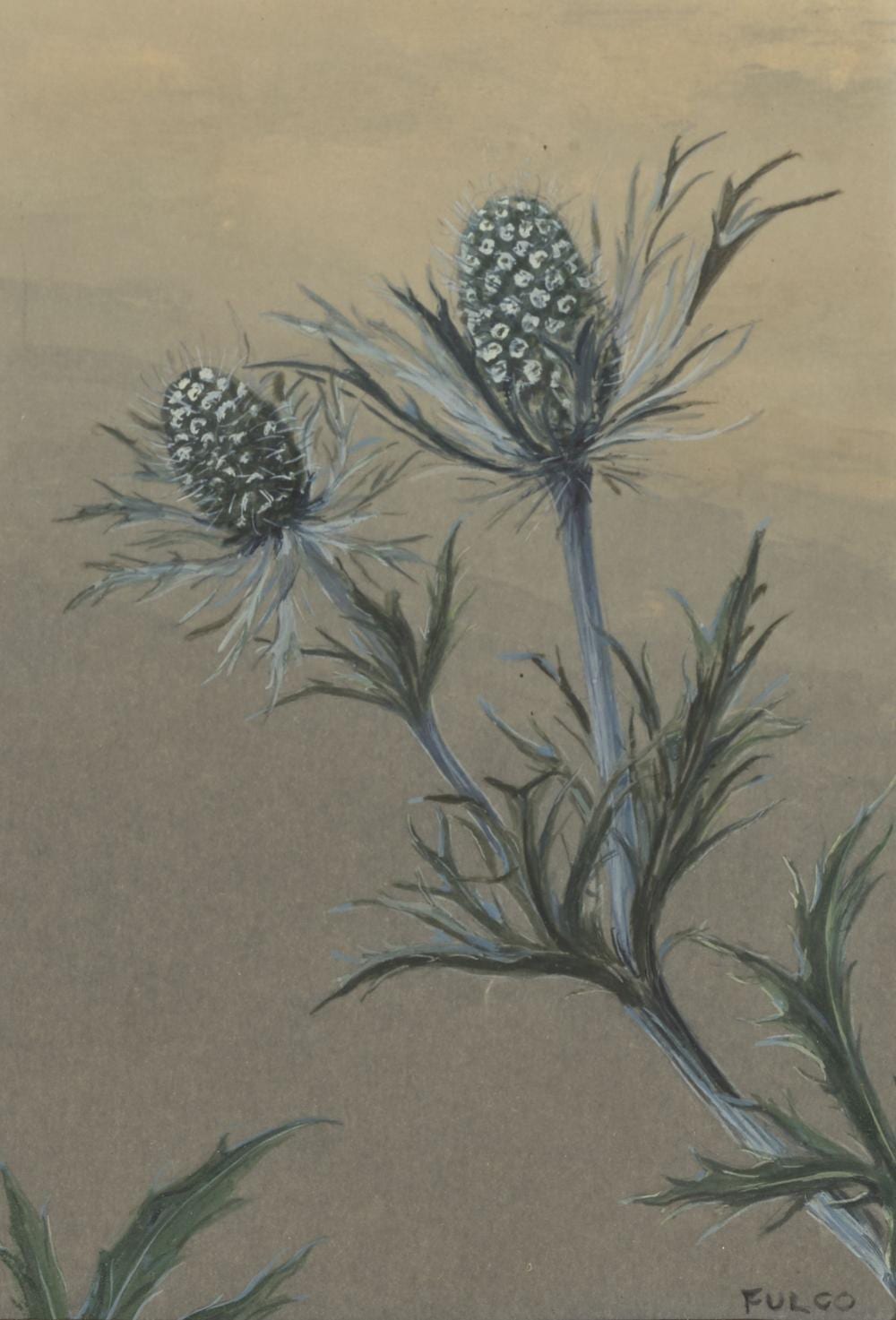 Fulco di Verdura comparable auction result: fulco di verdura 1898 1978 thistles 7 x 5 3 4 in 17 8 x 14 6 cm
