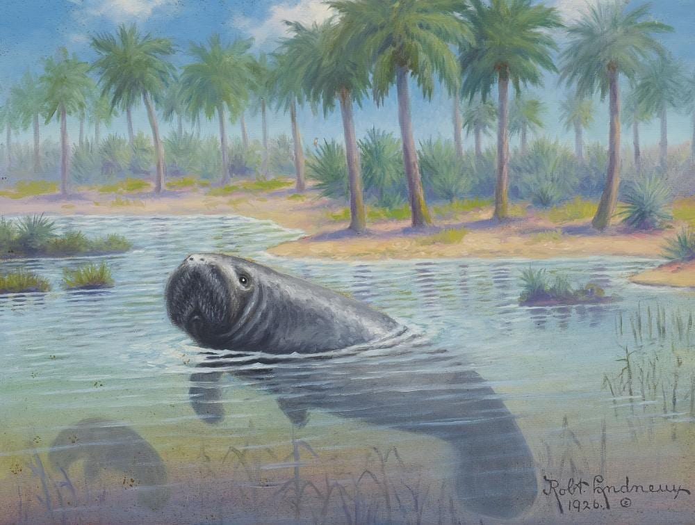 robert ottokar lindneux 1871 1970 manatee 18 x 24 in 45 7 x 61 cm · Bonhams · 2024-10-24 Robert Ottokar Lindneux comparable auction result: robert ottokar lindneux 1871 1970 manatee 18 x 24 in 45 7 x 61 cm