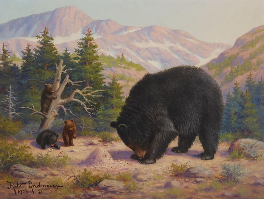 robert ottokar lindneux 1871 1970 bear with cubs 18 x 24 in 45 7 x 61 cm · Bonhams · 2024-10-24 Robert Ottokar Lindneux comparable auction result: robert ottokar lindneux 1871 1970 bear with cubs 18 x 24 in 45 7 x 61 cm