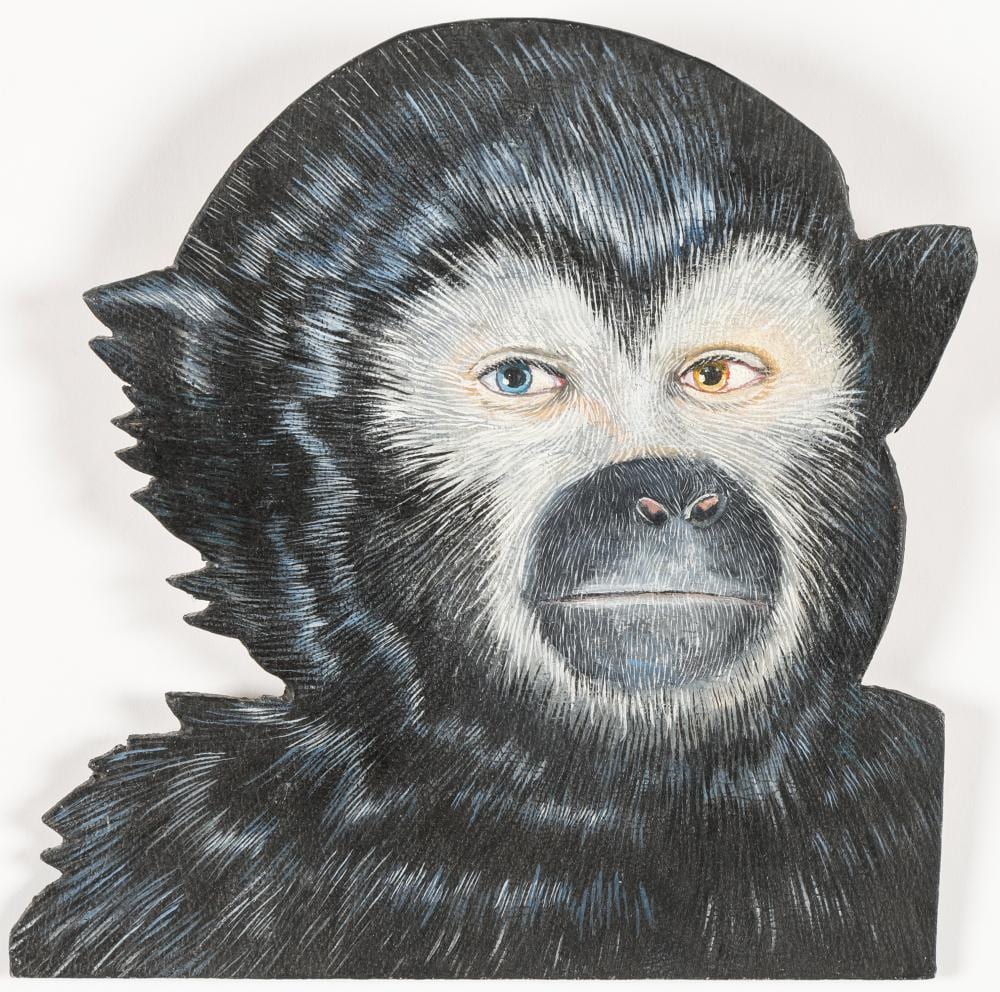 Cheryl Laemmle comparable auction result: cheryl laemmle b 1947 portrait of a monkey 1978