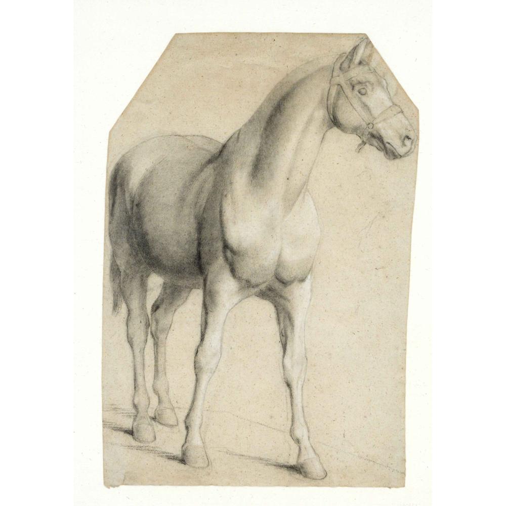 emil adam 1843 1924 attrib · Historia Auctionata · 2024-11-15 Emil Adam comparable auction result: emil adam 1843 1924 attrib