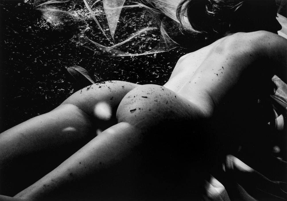 enzo carli 1949 nudo 2002 · Finarte · 2024-11-15 Enzo Carli comparable auction result: enzo carli 1949 nudo 2002