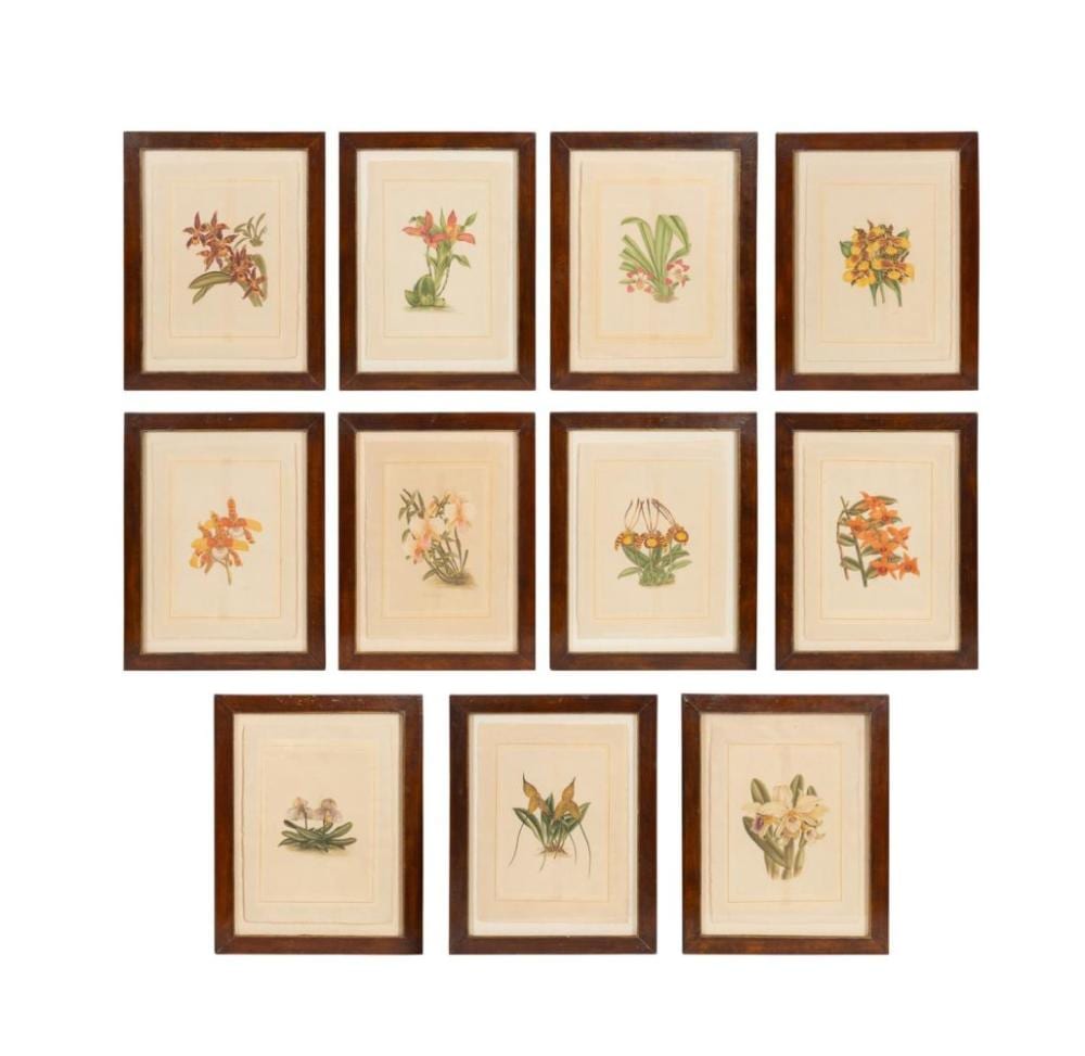 L.R.  Laffitte comparable auction result: la roche laffitte set of 11 botanical studies