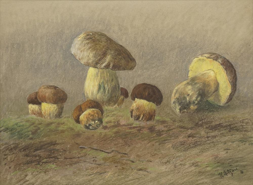 Hermann Ritzau comparable auction result: hermann ritzau 1866 1922 yellow boletuses