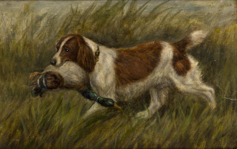Edward Aistrop comparable auction result: edward aistrop british fl 1880 1920 a spaniel with his catch oil on board signed e aistrop