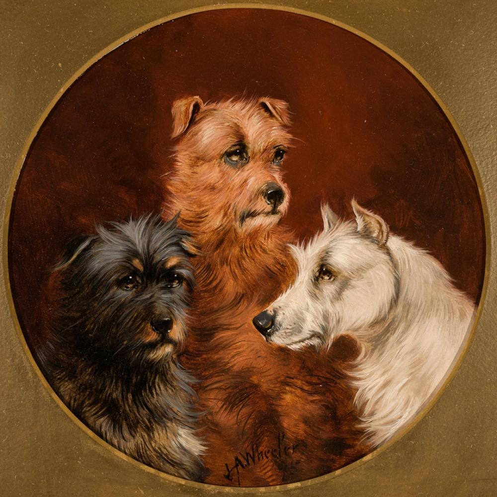 John Alfred Wheeler comparable auction result: john alfred wheeler three terriers