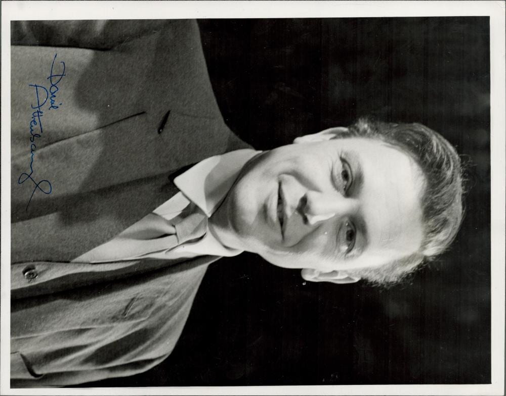 David Attenborough comparable auction result: david attenborough signed 10x8 inch black and white vintage photo good condition all autographs