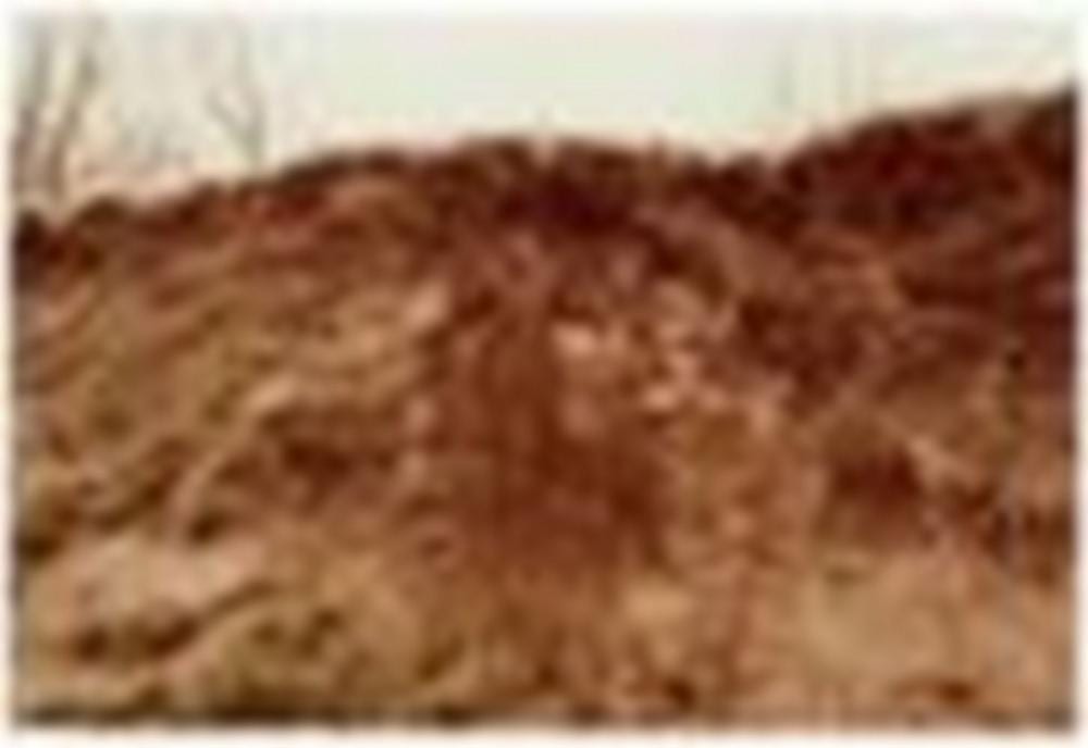 Ana Mendieta comparable auction result: ana mendieta 1948 1985 untitled