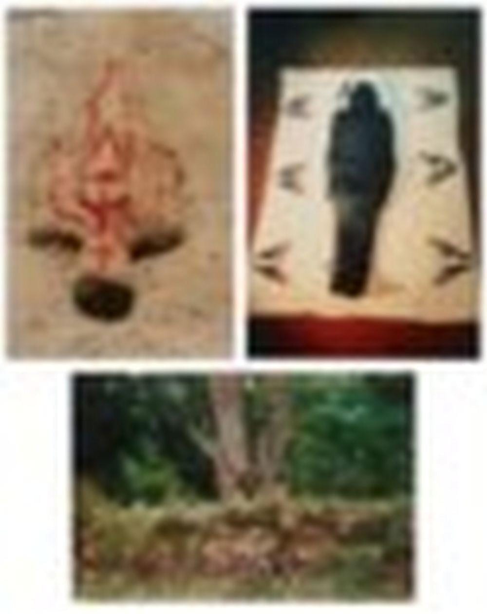 Ana Mendieta comparable auction result: ana mendieta 1948 1985 untitled silueta series iowa untitled ixchell series iowa