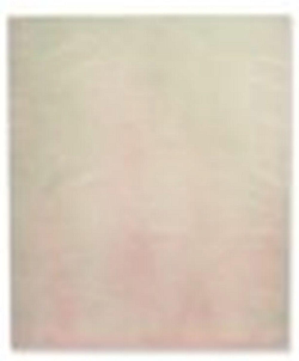 Tauba Auerbach comparable auction result: tauba auerbach b 1981 untitled fold