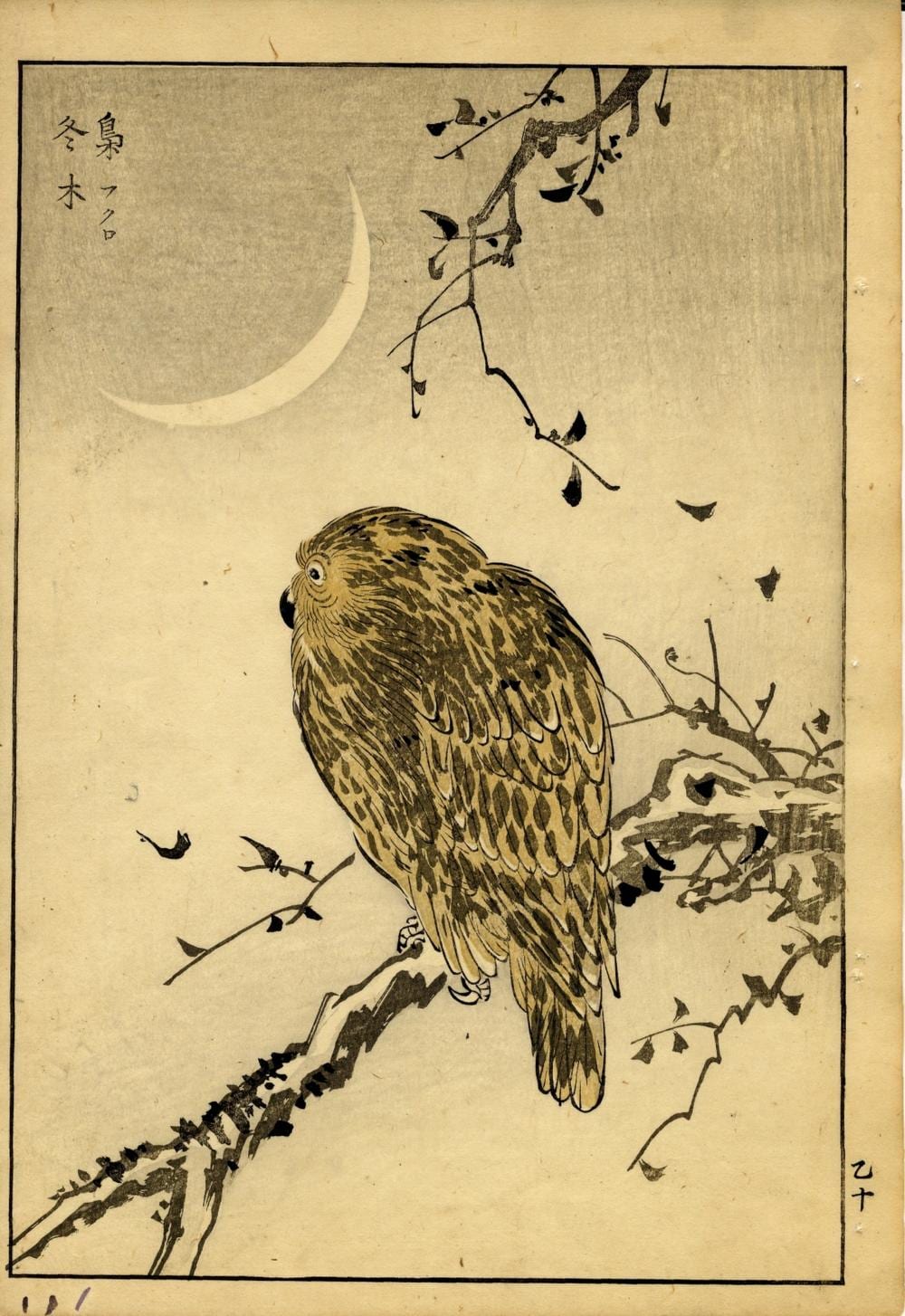 Shotei Watanabe comparable auction result: seitei watanabe 1851 1918 oban aus einem album