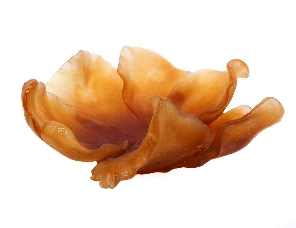 Daum France Amber Art Glass Tulip Floral Glass Bowl, Signed sold by Taylor & Harris, lot 505 — auction record photograph