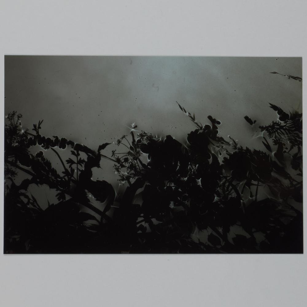 Susan Derges comparable auction result: susan derges b 1955 untitled