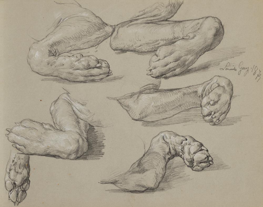 Jean-Baptiste-Louis Guy comparable auction result: jean baptiste louis guy france 1824 1888 tudes de pattes d animaux gr