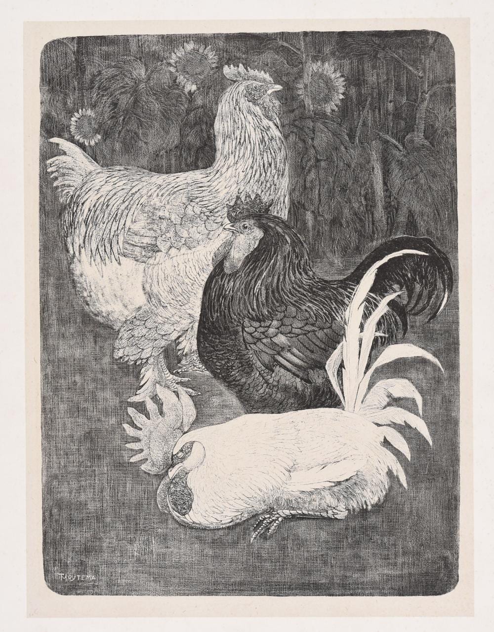 Theo van Hoytema comparable auction result: three roosters