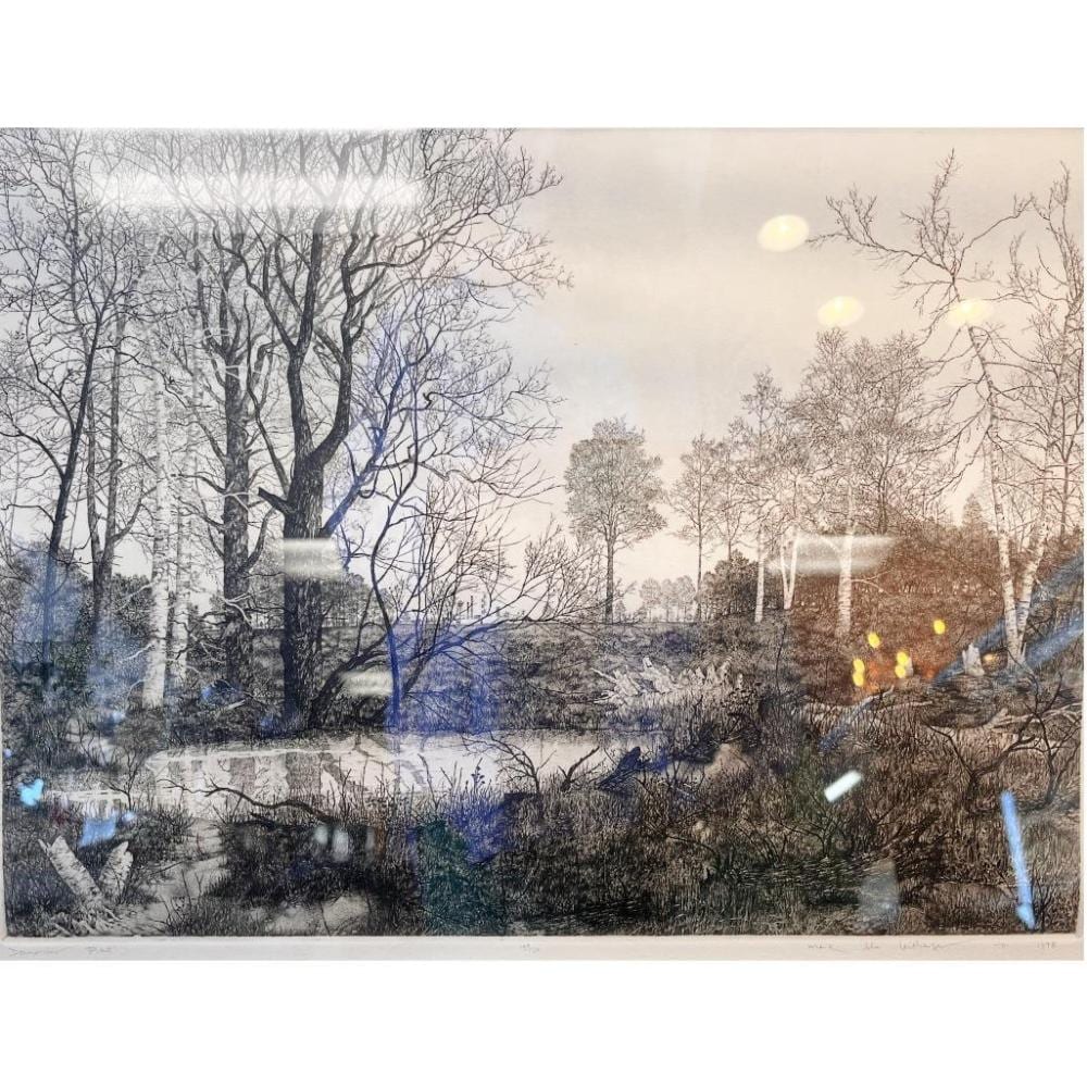 Mark Alan Leithauser comparable auction result: dourmier plant by mark alan leithauser etching