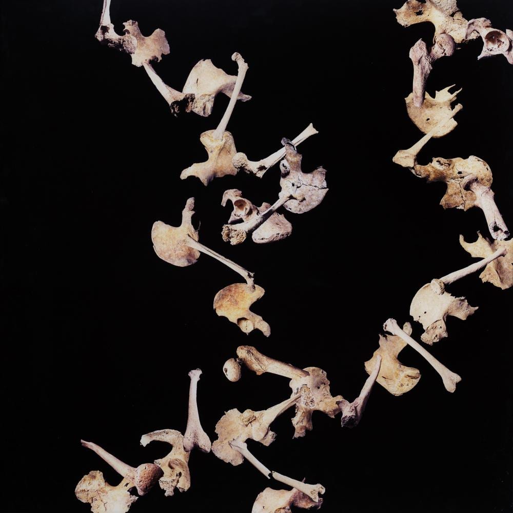 Daniel Canogar comparable auction result: daniel canogar madrid 1964 cadencia 2001 color photog
